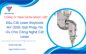 dau-cat-laser-raytools-nv-2016