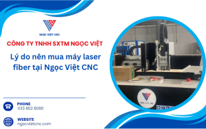 AVT 15